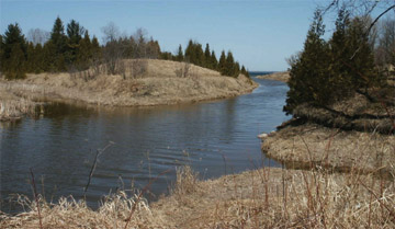 gauthier_nature_preserve.jpg