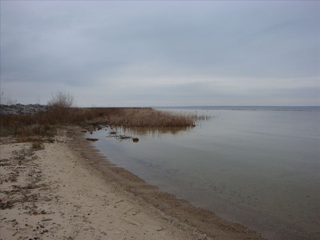 gorden_turner_park_3.jpg