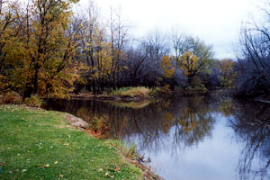 image6.jpg