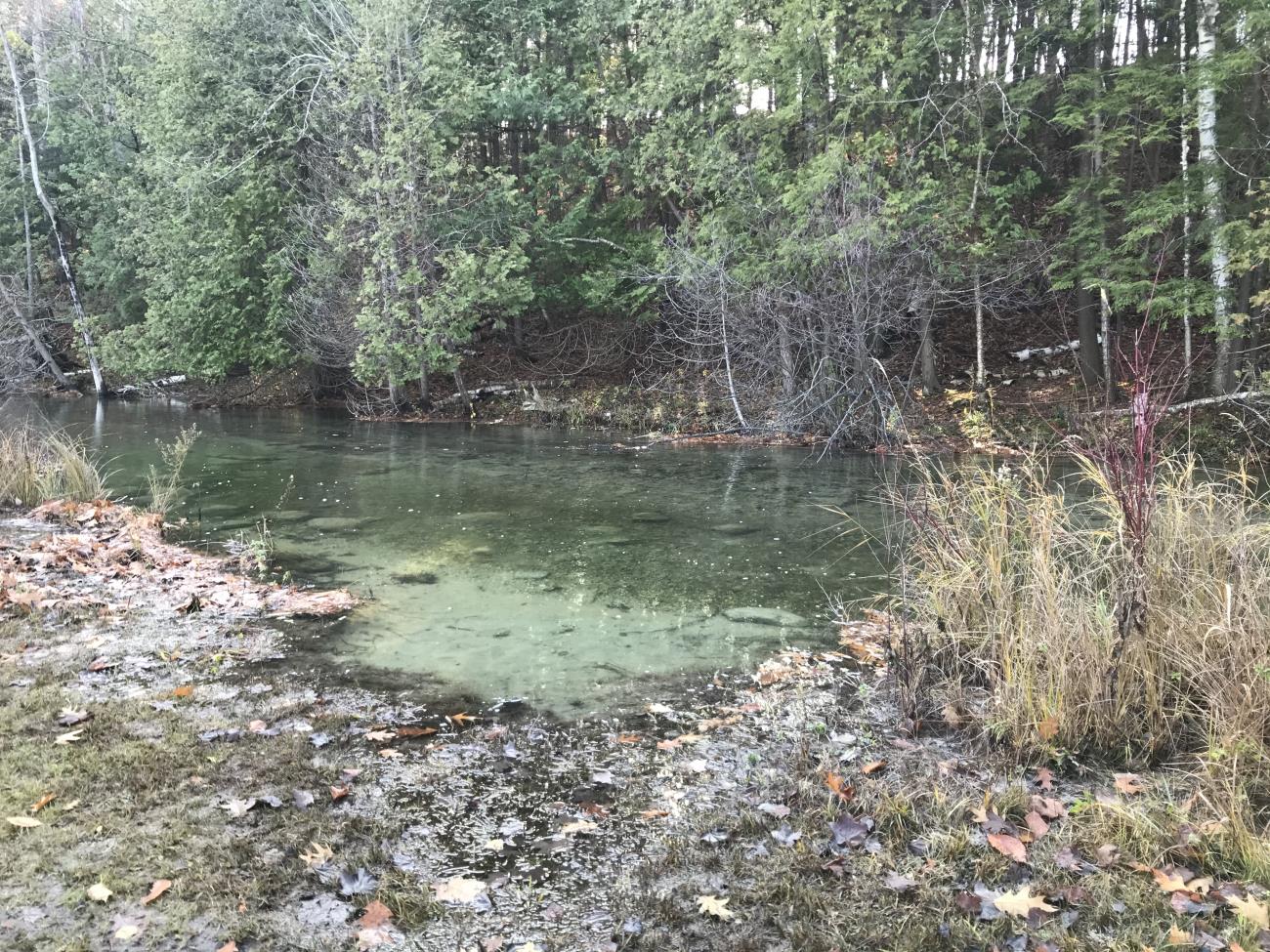 Melrose Twp Park Access Site