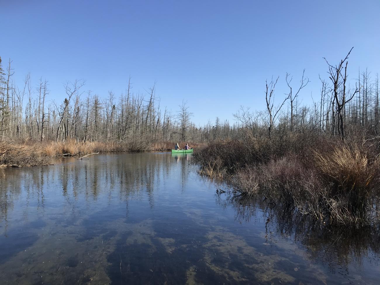Bear River