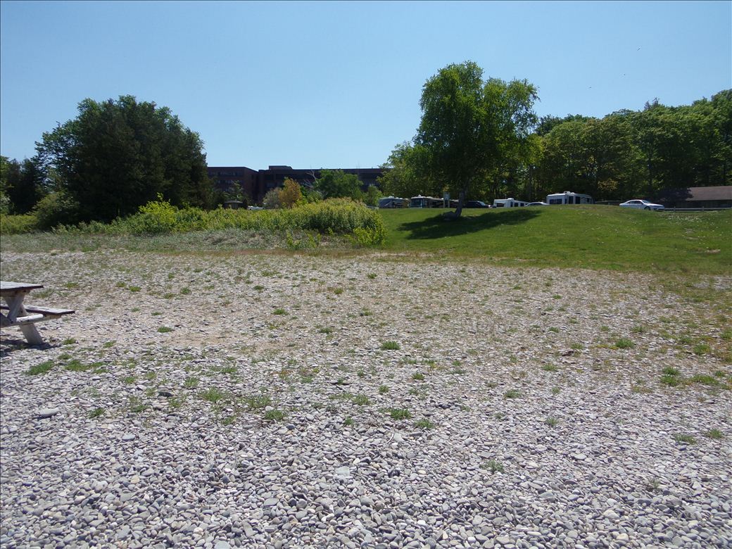 magnus_park_3.jpg