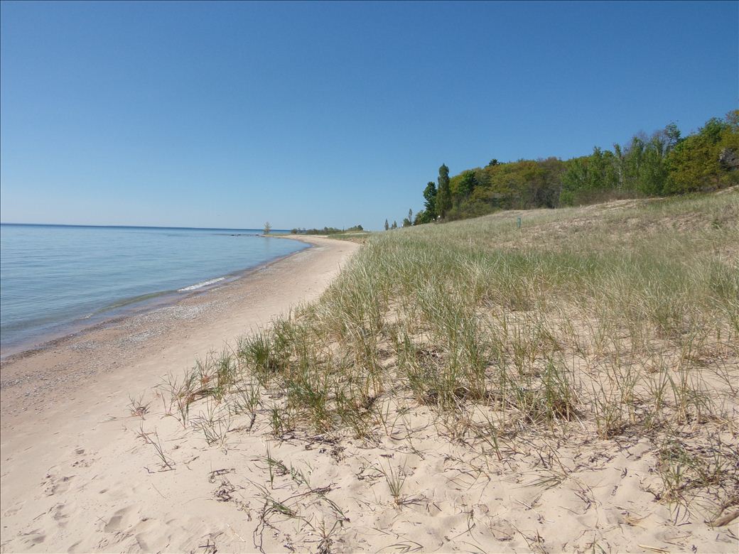 Looking north from Middle Village Park beach