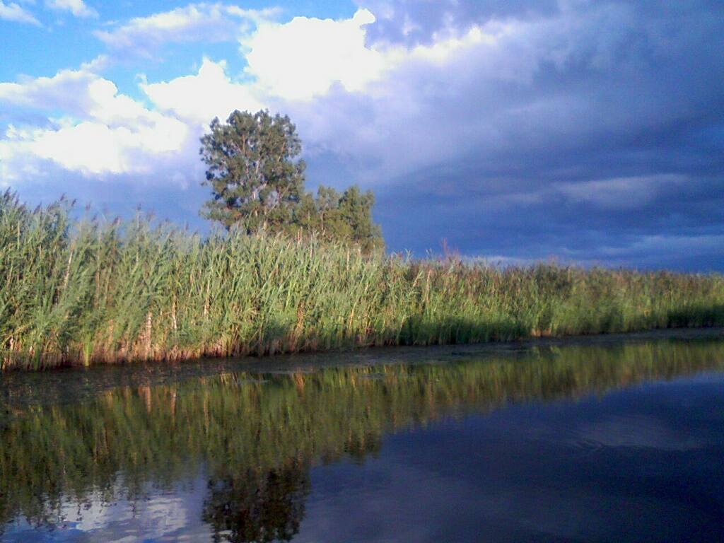 mms022702_0.jpg