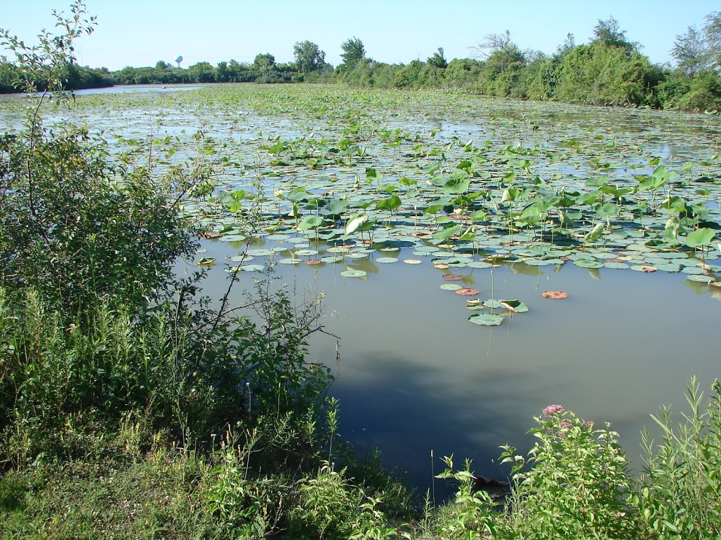 muddy_creek_pond_access.jpg