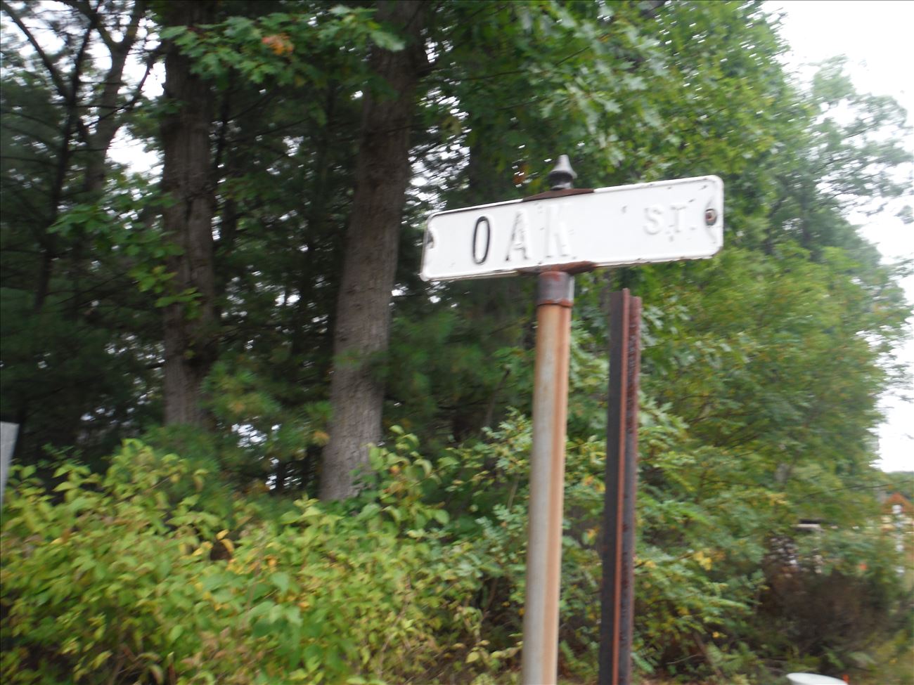 oakst.jpg