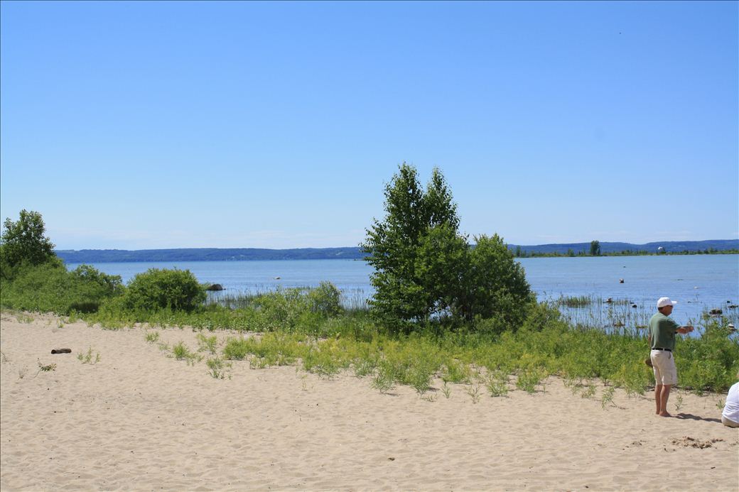 Lighthouse Park