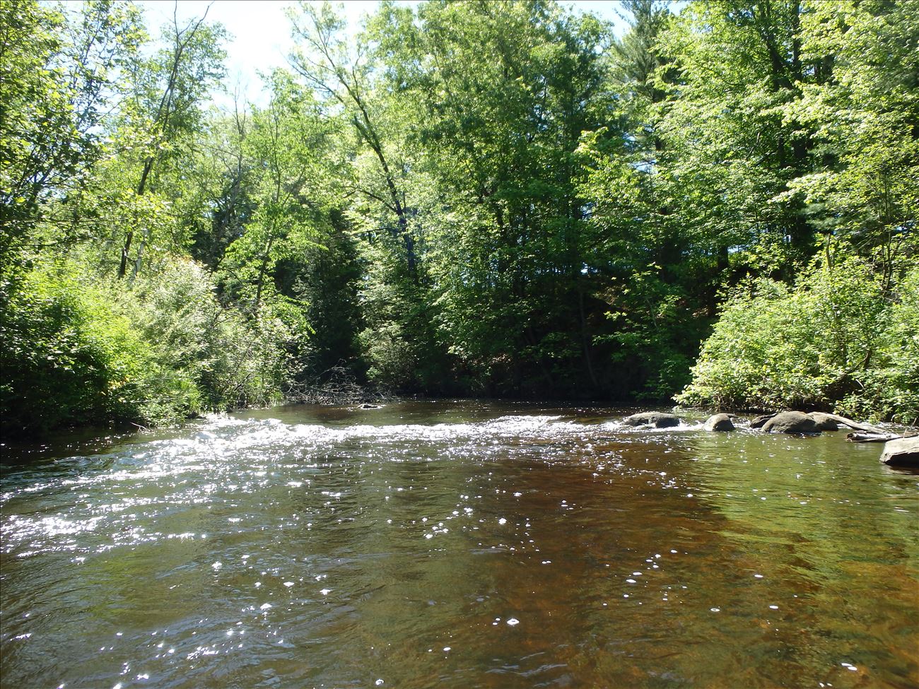 White River near White Cloud Michigan