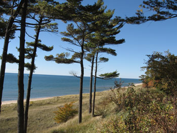 Pioneer trail deals campground