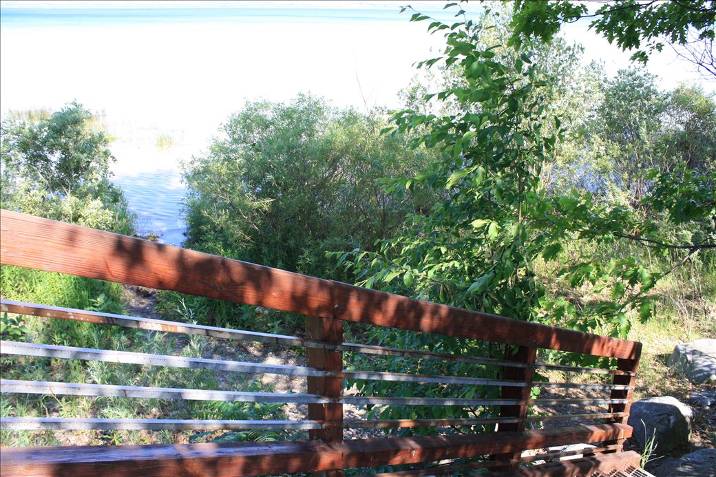 Roadside Park 1
