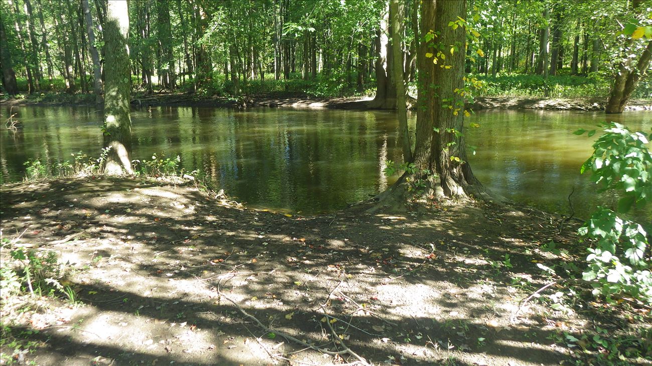 Roadside access to river at Bundy Road