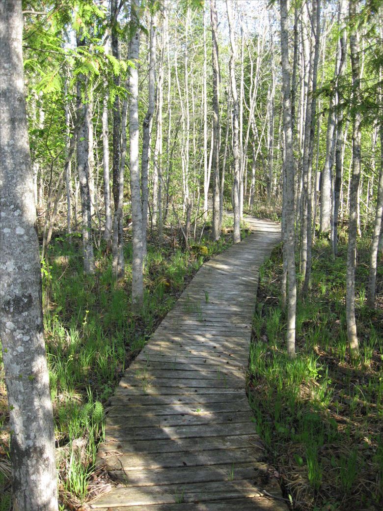 round_lake_preserve_25.jpg