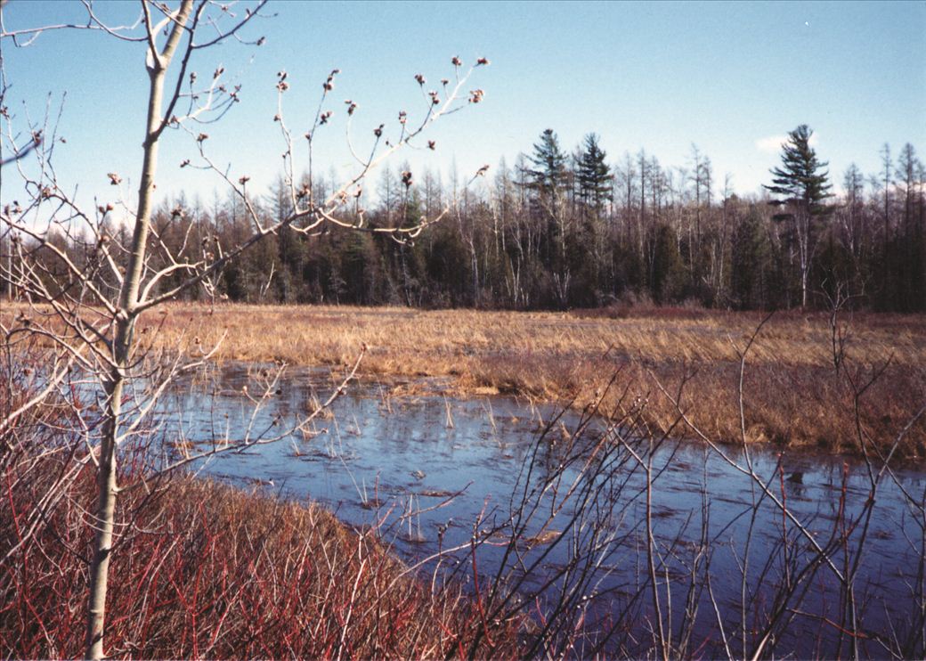 southroundlake.jpg