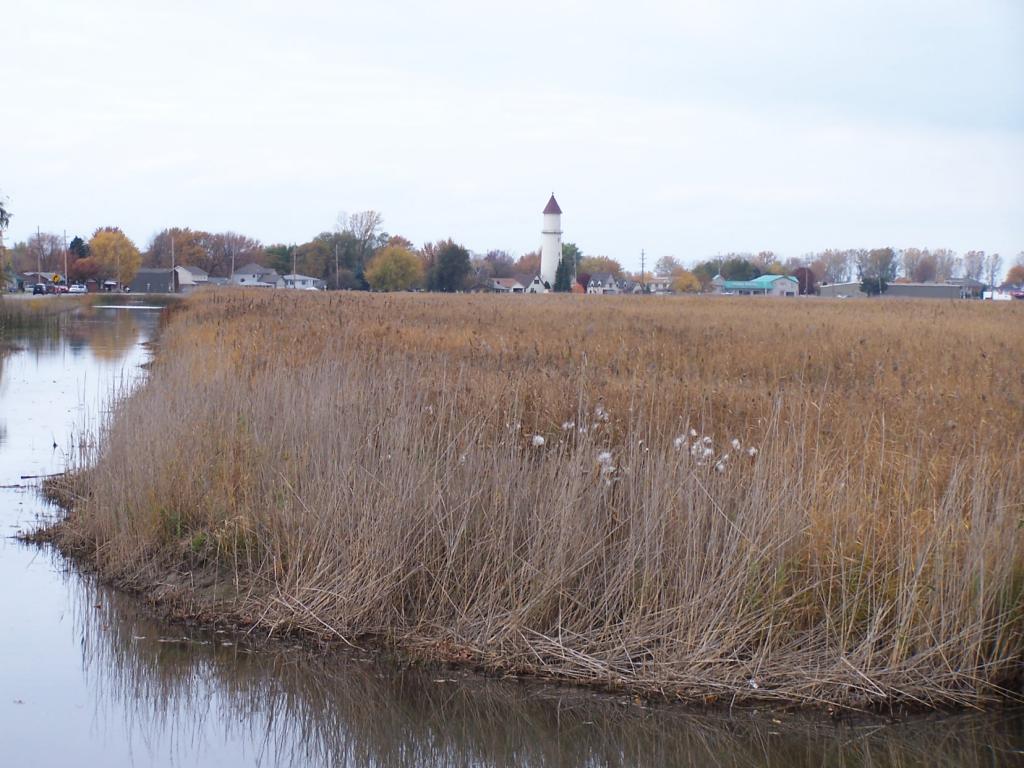 St. John's Marsh Explorer