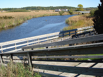 sutton_slide1.jpg
