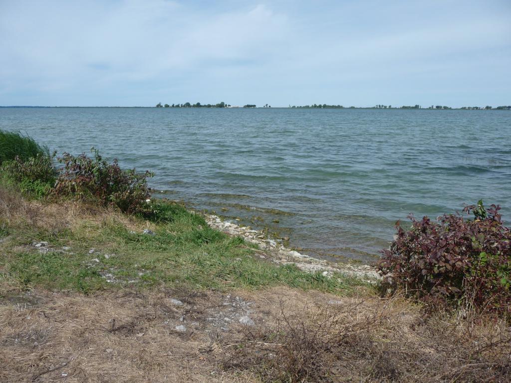 Water access to Big Muskamoot Bay