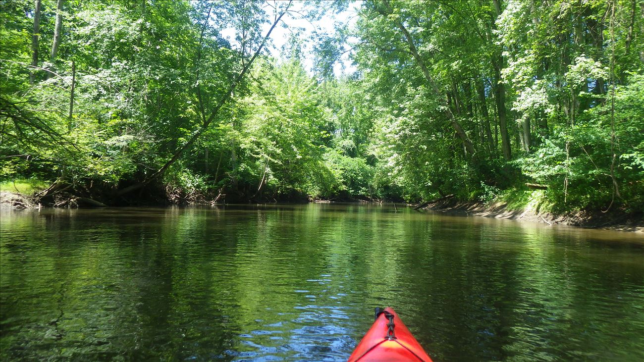 undeveloped floodplain forest corridor