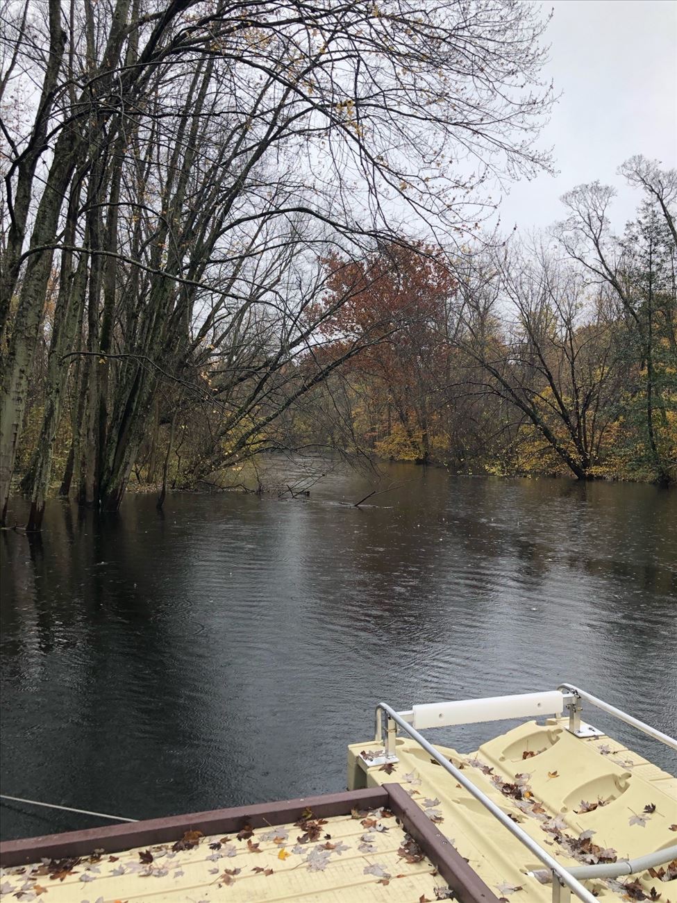 Upstream from the dock