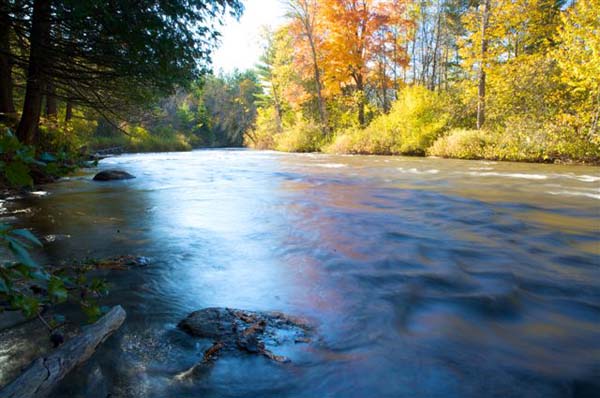 Pigeon River