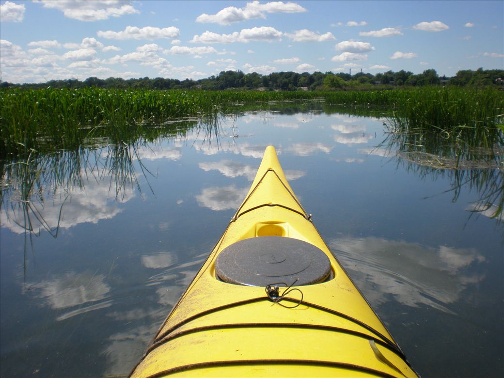 Grosse Ile Paddle Route Michigan Water Trails