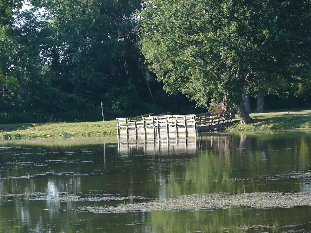 waterloo_park.jpg