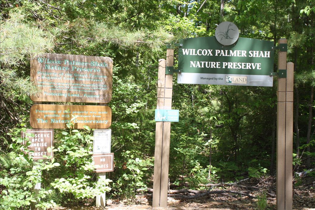 Wilcox Palmer Shah Nature Preserve