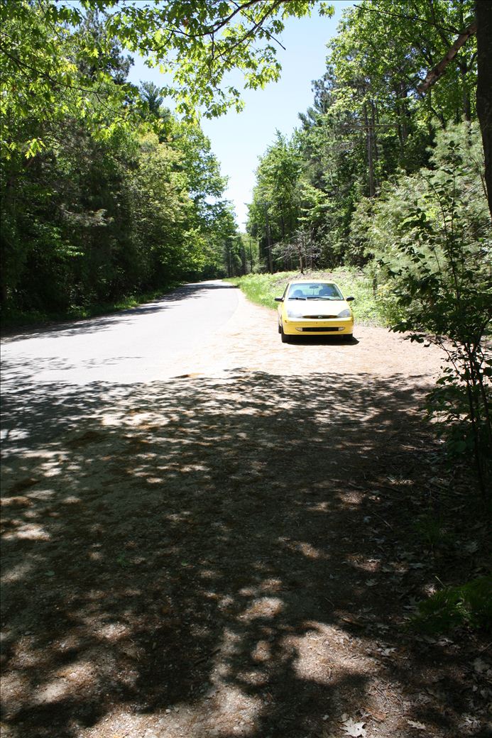 Wilcox Palmer Shah Nature Preserve