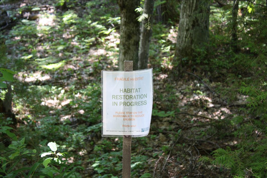Wilcox Palmer Shah Nature Preserve