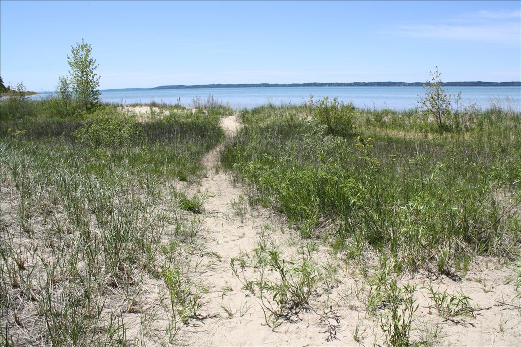 Wilcox Palmer Shah Nature Preserve