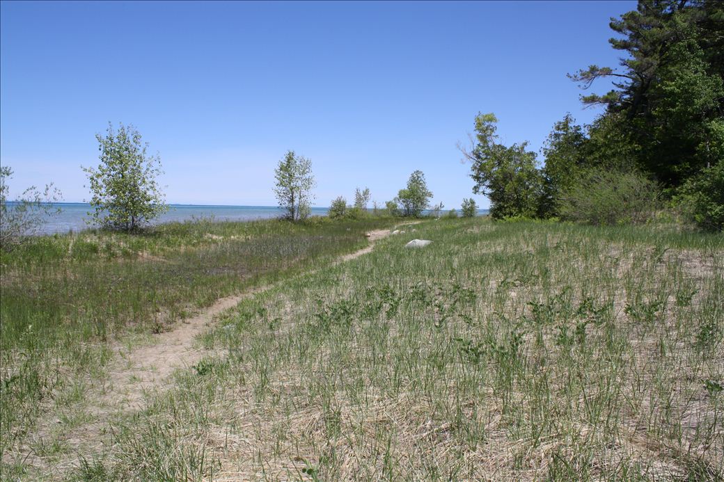 Wilcox Palmer Shah Nature Preserve