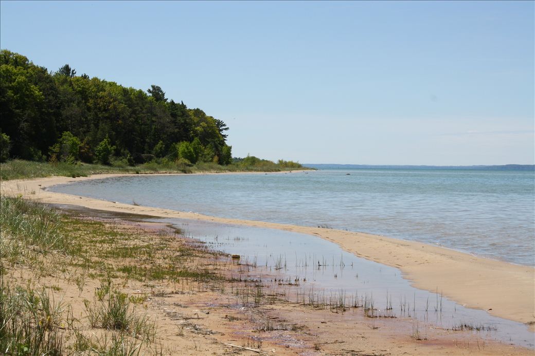 Wilcox Palmer Shah Nature Preserve