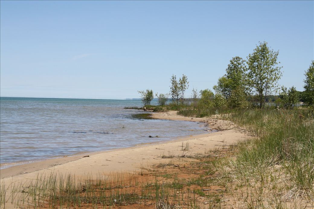 Wilcox Palmer Shah Nature Preserve